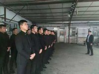 雇保鏢多少錢（雇傭保鏢多少錢？）